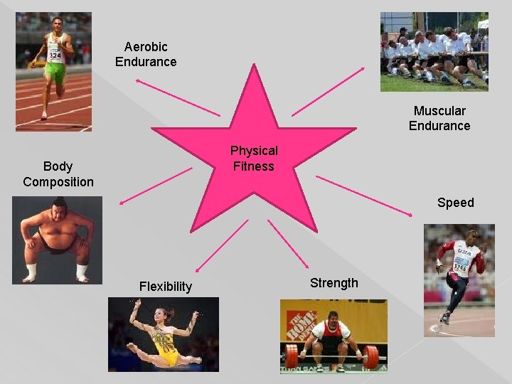 Aerobic Endurance Muscular Endurance Physical Fitness Body Composition Speed Flexibility Strength 