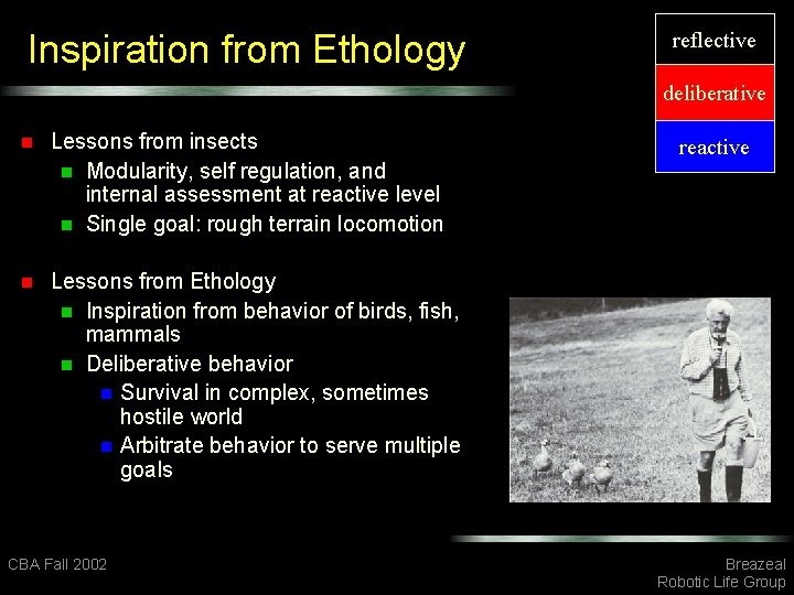 Inspiration from Ethology reflective deliberative n Lessons from insects n Modularity, self regulation, and