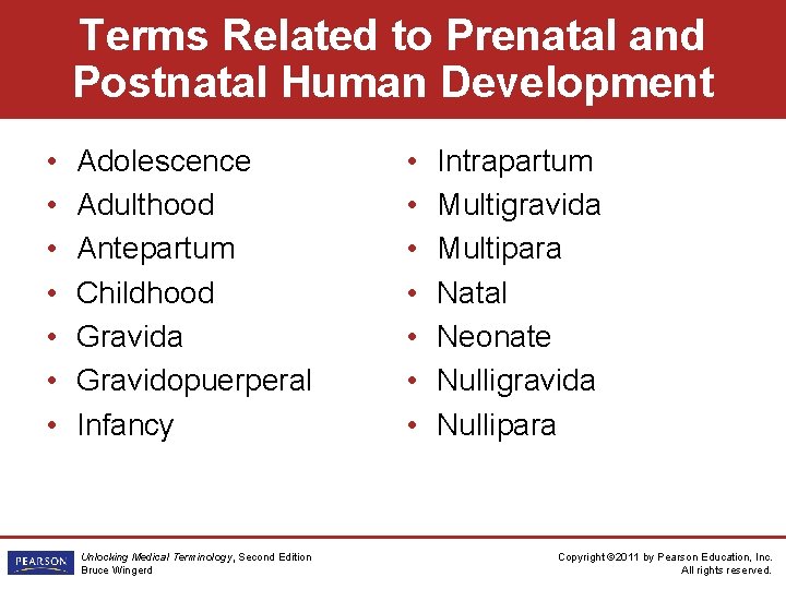 Terms Related to Prenatal and Postnatal Human Development • • Adolescence Adulthood Antepartum Childhood