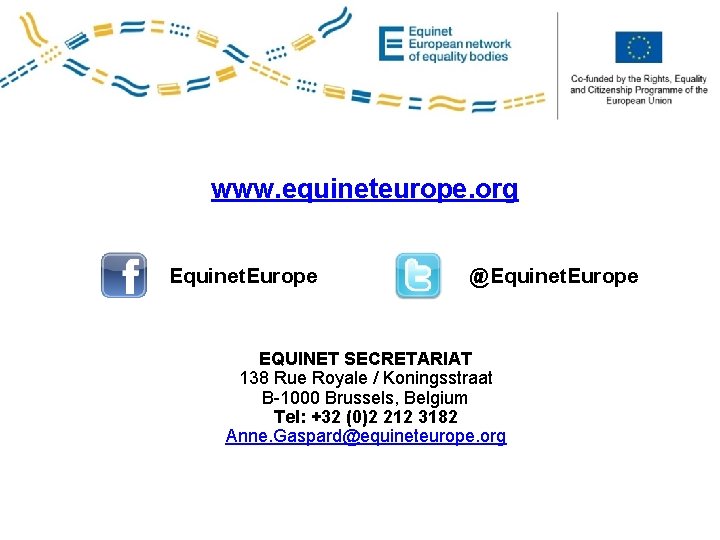 Co-funded by the PROGRESS Programme of the European Union www. equineteurope. org Equinet. Europe