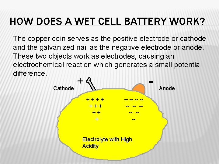 HOW DOES A WET CELL BATTERY WORK? The copper coin serves as the positive