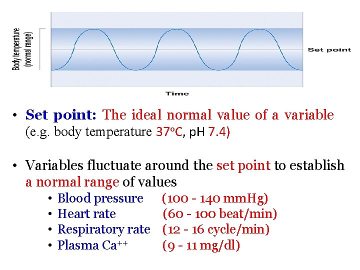  • Set point: The ideal normal value of a variable (e. g. body