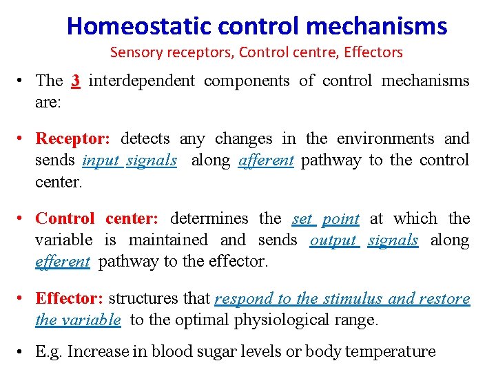 Homeostatic control mechanisms Sensory receptors, Control centre, Effectors • The 3 interdependent components of