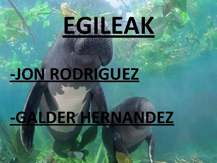 EGILEAK -JON RODRIGUEZ -GALDER HERNANDEZ 