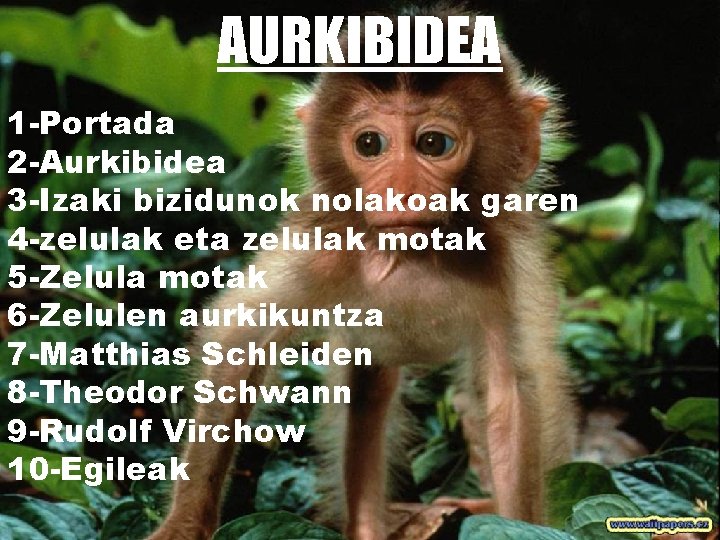 AURKIBIDEA 1 -Portada 2 -Aurkibidea 3 -Izaki bizidunok nolakoak garen 4 -zelulak eta zelulak