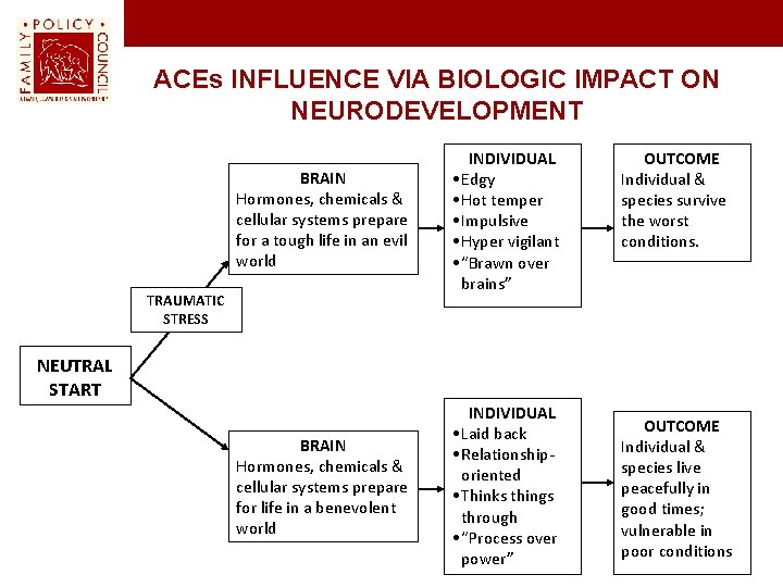 ACEs INFLUENCE VIA BIOLOGIC IMPACT ON NEURODEVELOPMENT BRAIN Hormones, chemicals & cellular systems prepare