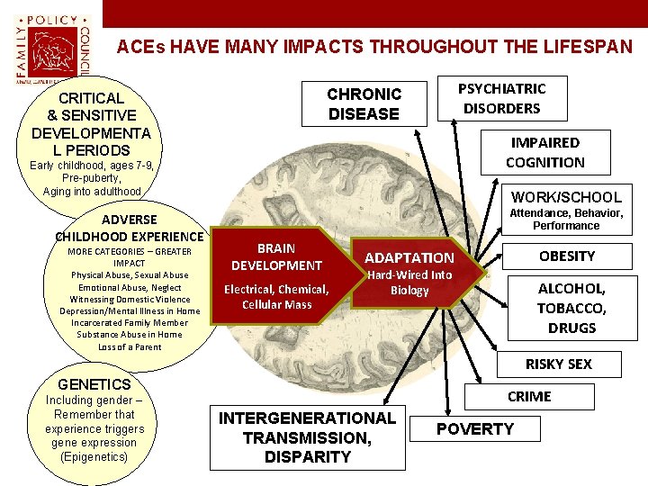 ACEs HAVE MANY IMPACTS THROUGHOUT THE LIFESPAN PSYCHIATRIC DISORDERS CHRONIC DISEASE CRITICAL & SENSITIVE