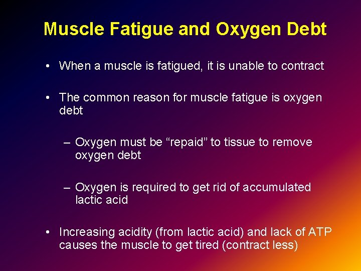 Muscle Fatigue and Oxygen Debt • When a muscle is fatigued, it is unable