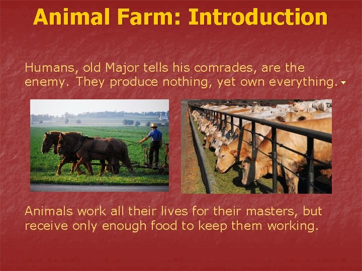 Animal Farm: Introduction Humans, old Major tells his comrades, are the enemy. They produce