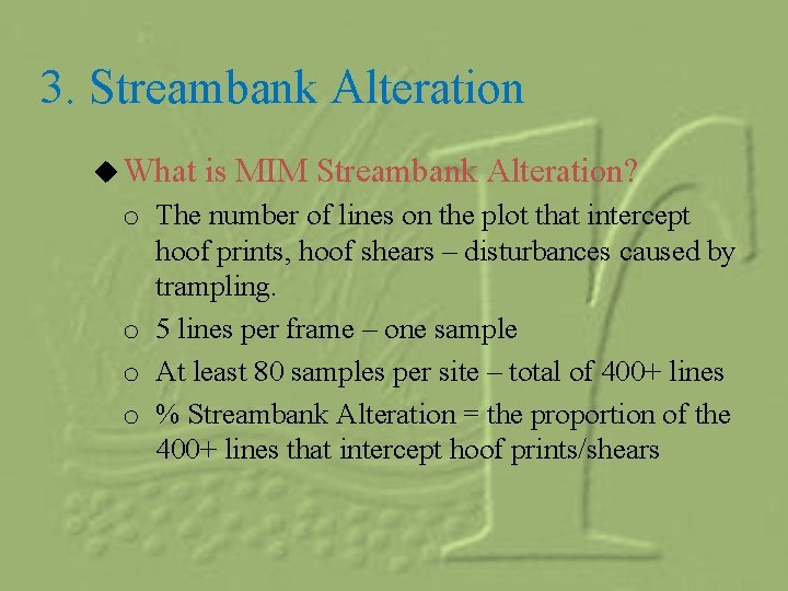 3. Streambank Alteration u What is MIM Streambank Alteration? o The number of lines