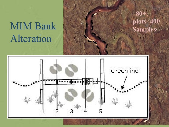 MIM Bank Alteration 80+ plots -400 Samples 