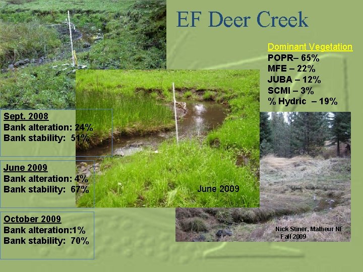 EF Deer Creek Dominant Vegetation POPR– 65% MFE – 22% JUBA – 12% SCMI