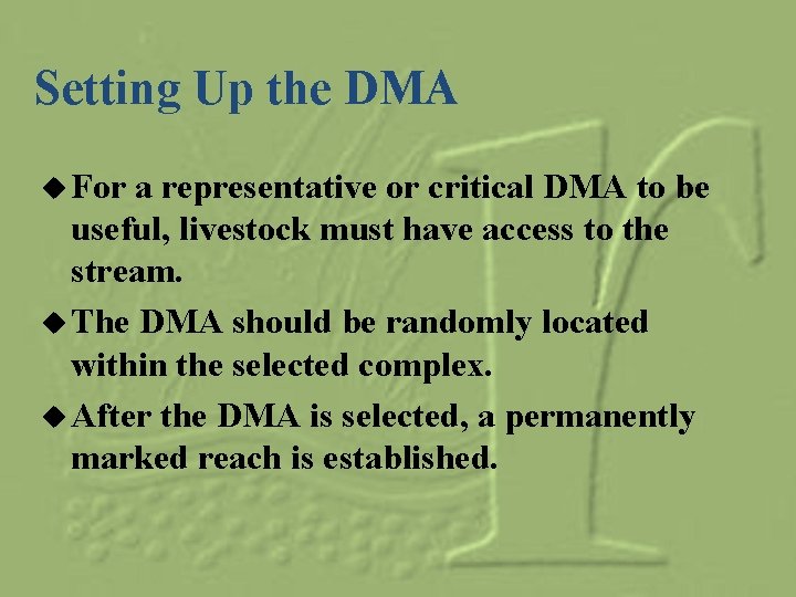 Setting Up the DMA u For a representative or critical DMA to be useful,