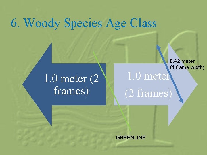 6. Woody Species Age Class 0. 42 meter (1 frame width) 1. 0 meter