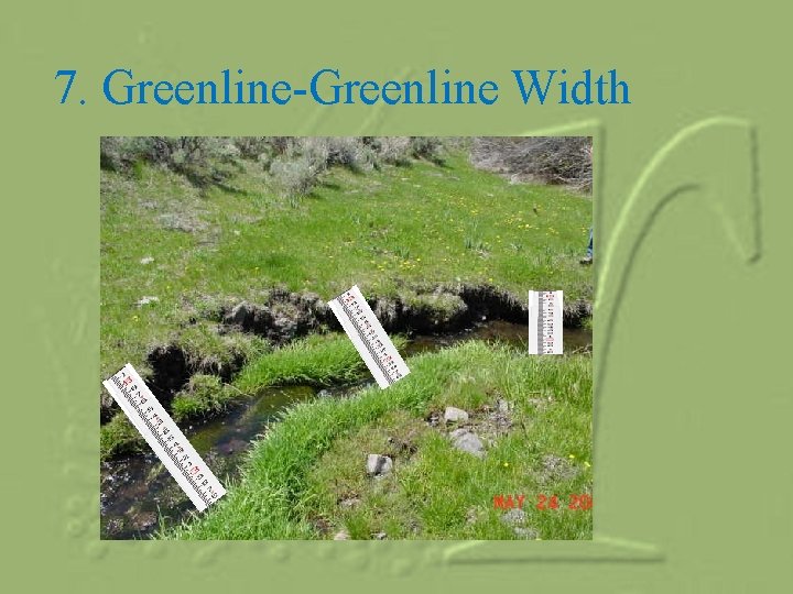 7. Greenline-Greenline Width 