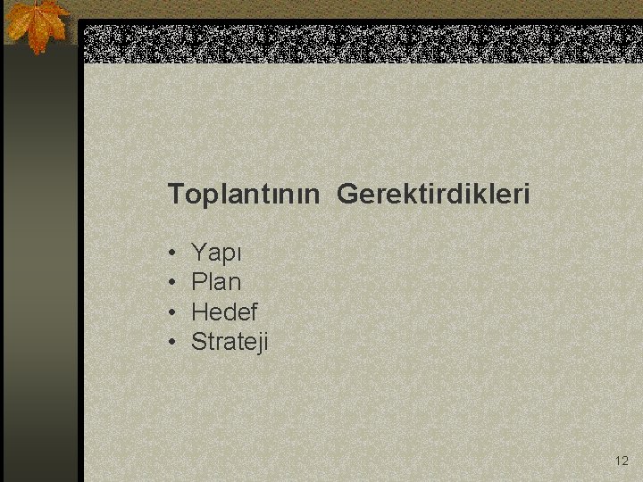 Toplantının Gerektirdikleri • • Yapı Plan Hedef Strateji 12 