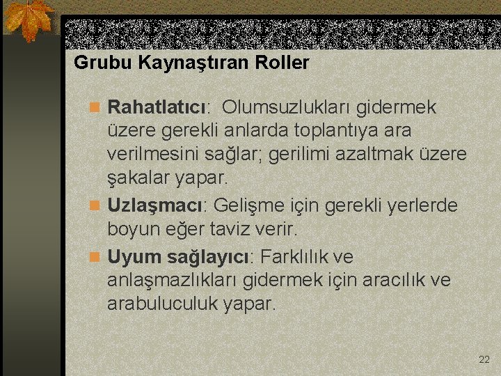 Grubu Kaynaştıran Roller n Rahatlatıcı: Olumsuzlukları gidermek üzere gerekli anlarda toplantıya ara verilmesini sağlar;