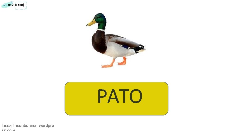 PATO lascajitasdebuensu. wordpre 