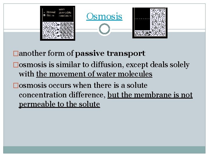 Osmosis �another form of passive transport �osmosis is similar to diffusion, except deals solely