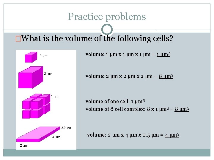 Practice problems �What is the volume of the following cells? volume: 1 μm x