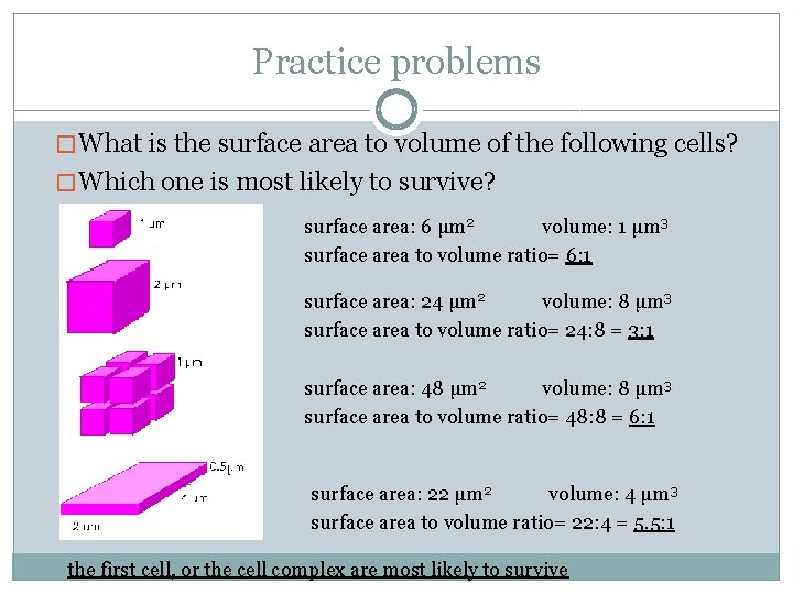 Practice problems � What is the surface area to volume of the following cells?