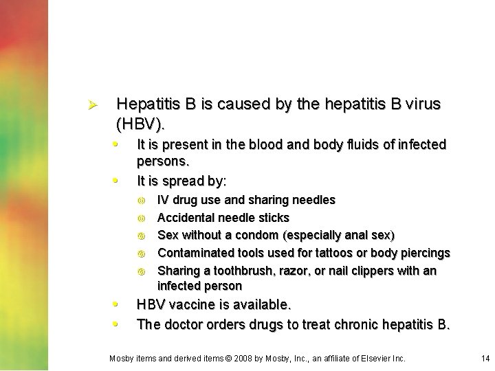 Ø Hepatitis B is caused by the hepatitis B virus (HBV). • It is