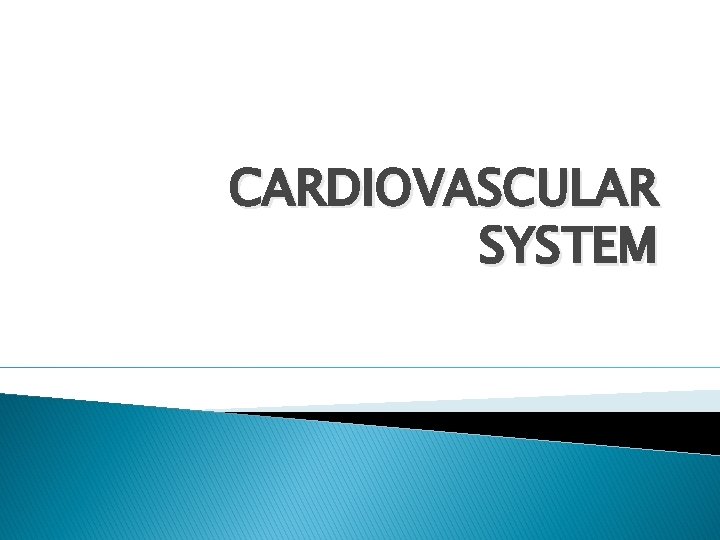 CARDIOVASCULAR SYSTEM 