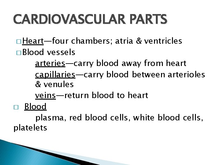 CARDIOVASCULAR PARTS � Heart—four chambers; atria & ventricles � Blood vessels arteries—carry blood away
