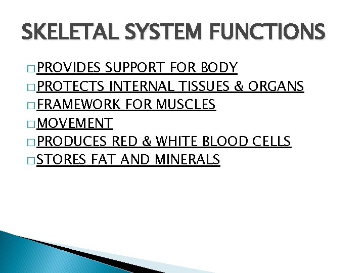 SKELETAL SYSTEM FUNCTIONS � PROVIDES SUPPORT FOR BODY � PROTECTS INTERNAL TISSUES & ORGANS