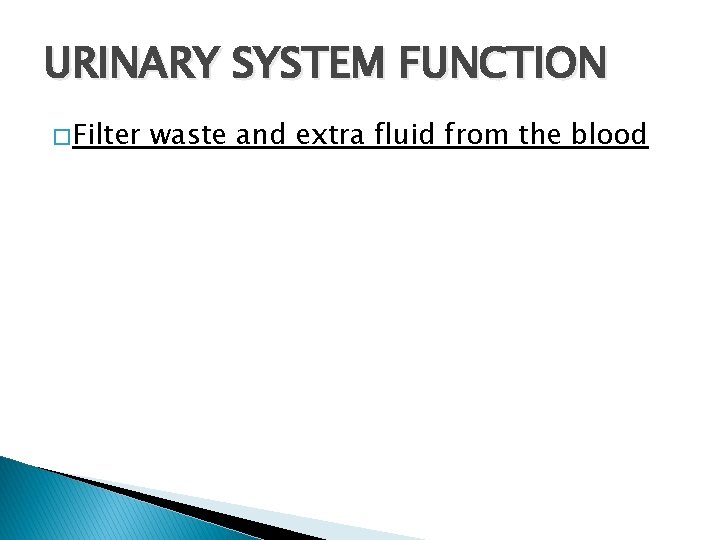 URINARY SYSTEM FUNCTION � Filter waste and extra fluid from the blood 