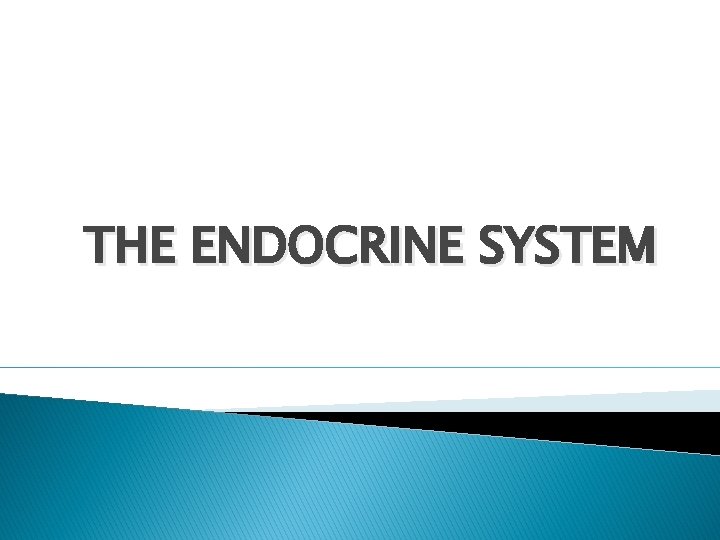 THE ENDOCRINE SYSTEM 