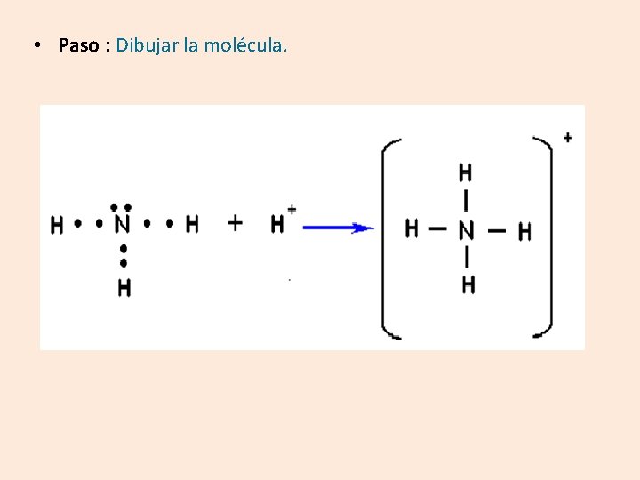  • Paso : Dibujar la molécula. 