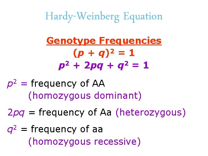 Hardy-Weinberg Equation Genotype Frequencies (p + q)2 = 1 p 2 + 2 pq