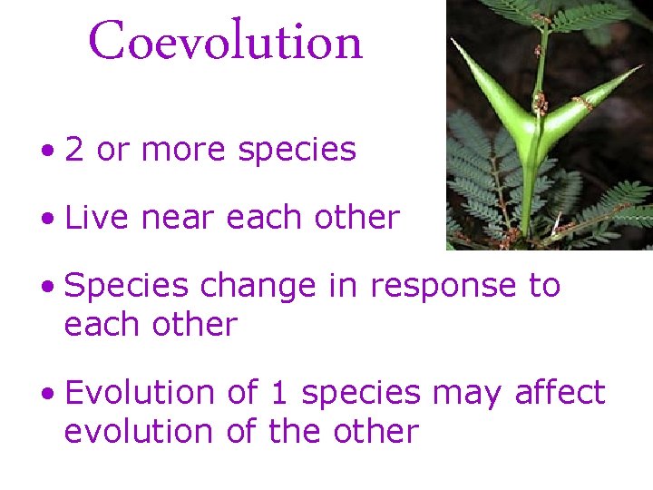 Coevolution • 2 or more species • Live near each other • Species change