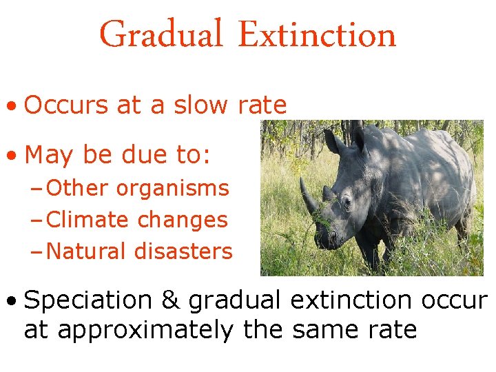 Gradual Extinction • Occurs at a slow rate • May be due to: –