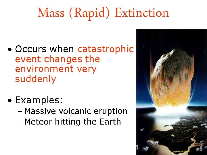Mass (Rapid) Extinction • Occurs when catastrophic event changes the environment very suddenly •