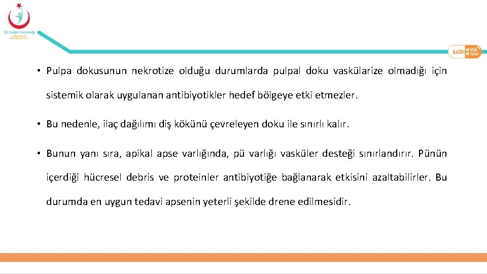  • Pulpa dokusunun nekrotize olduğu durumlarda pulpal doku vaskülarize olmadığı için sistemik olarak