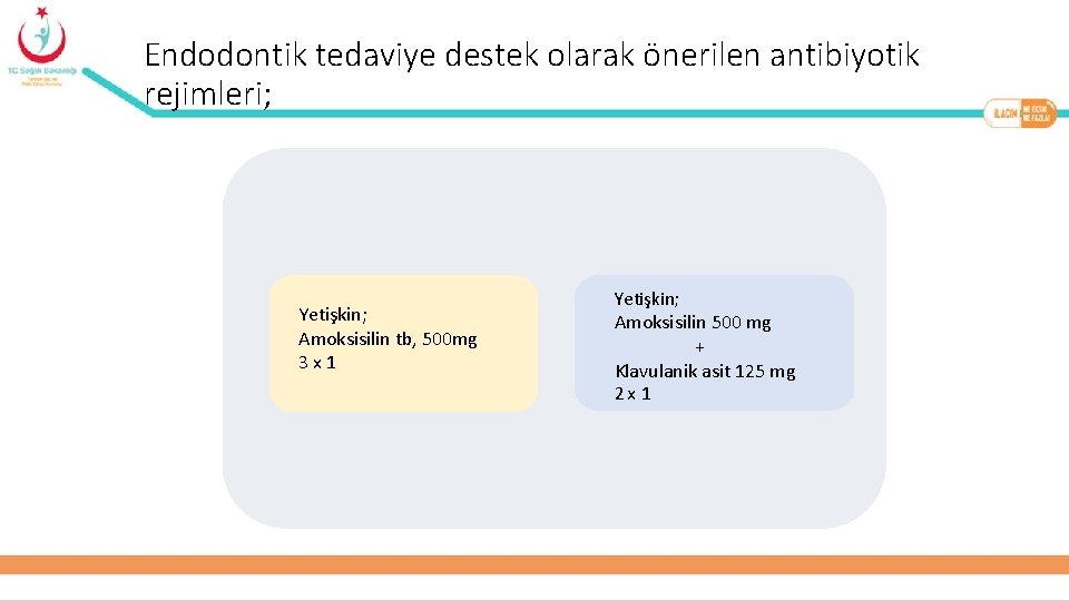 Endodontik tedaviye destek olarak önerilen antibiyotik rejimleri; Yetişkin; Amoksisilin tb, 500 mg 3 x