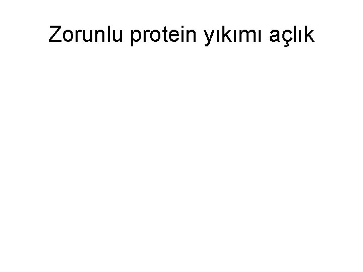 Zorunlu protein yıkımı açlık 