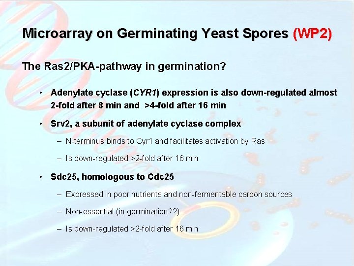 Microarray on Germinating Yeast Spores (WP 2) The Ras 2/PKA-pathway in germination? • Adenylate