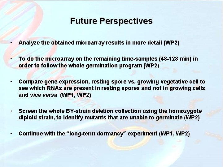 Future Perspectives • Analyze the obtained microarray results in more detail (WP 2) •