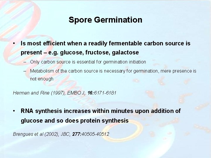 Spore Germination • Is most efficient when a readily fermentable carbon source is present