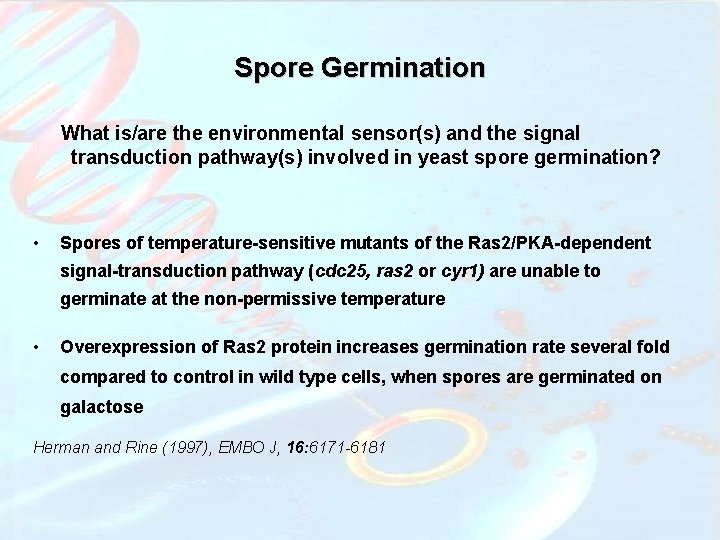 Spore Germination What is/are the environmental sensor(s) and the signal transduction pathway(s) involved in