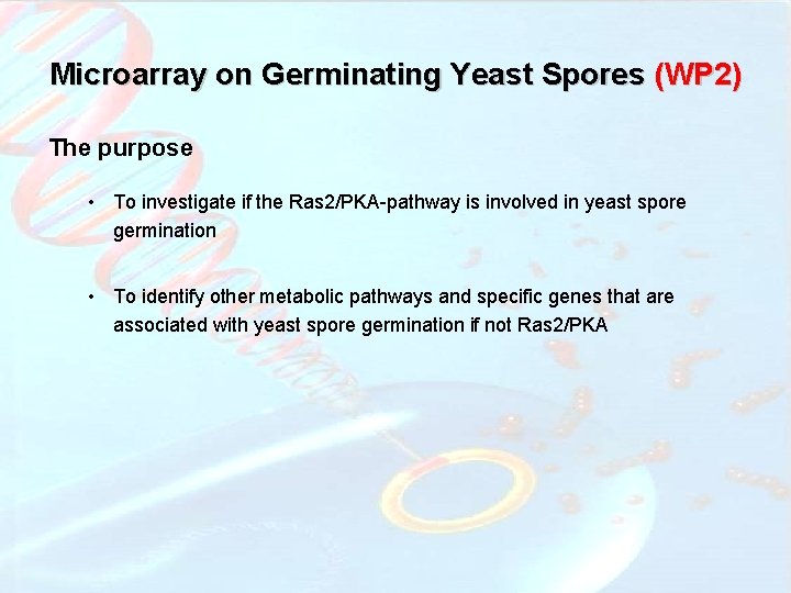 Microarray on Germinating Yeast Spores (WP 2) The purpose • To investigate if the