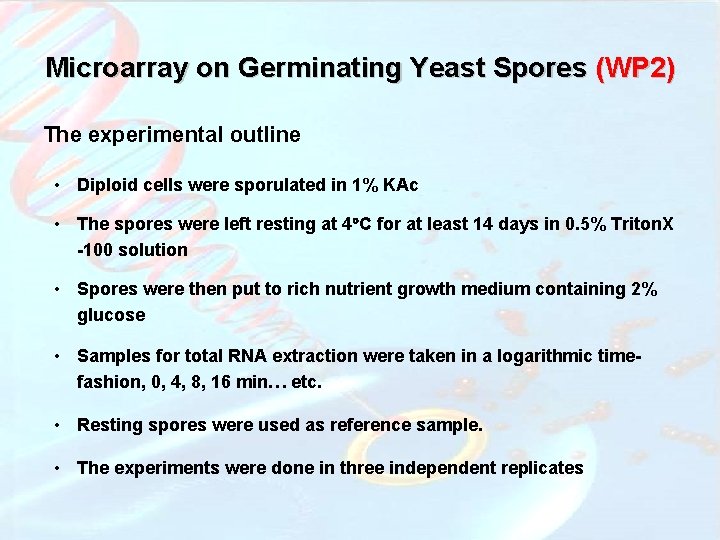 Microarray on Germinating Yeast Spores (WP 2) The experimental outline • Diploid cells were