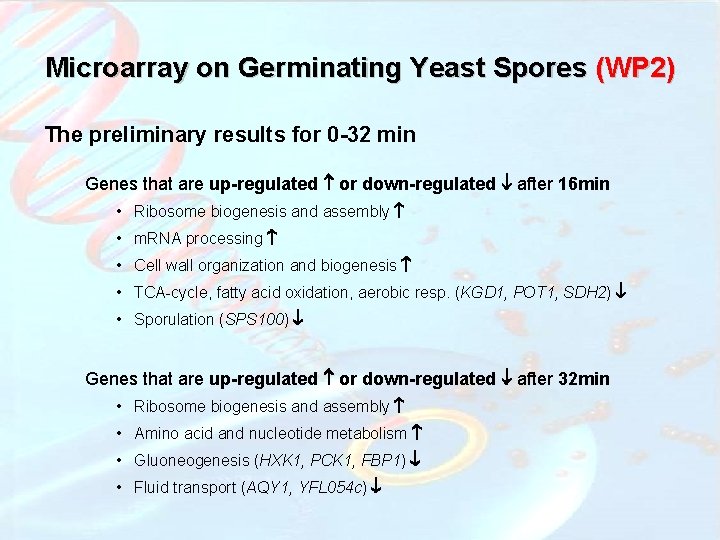 Microarray on Germinating Yeast Spores (WP 2) The preliminary results for 0 -32 min