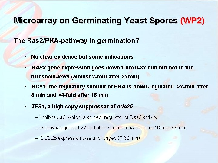 Microarray on Germinating Yeast Spores (WP 2) The Ras 2/PKA-pathway in germination? • No