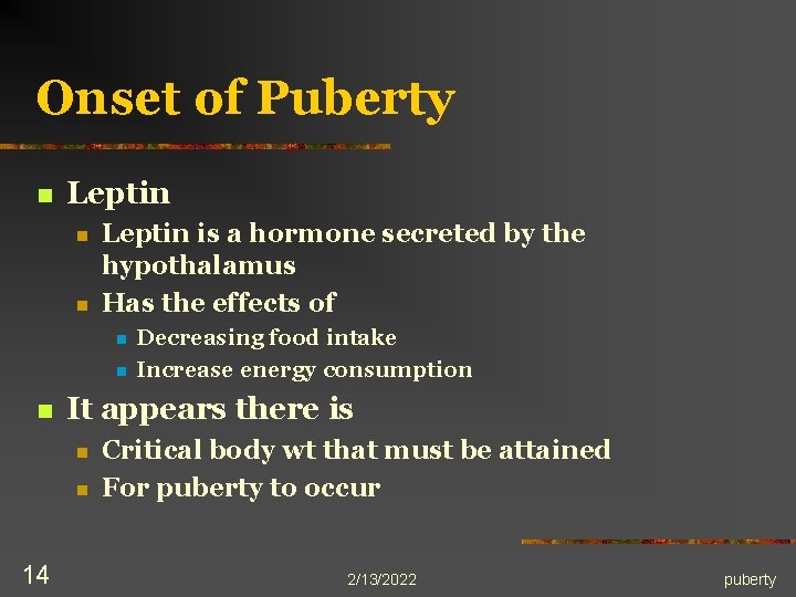 Onset of Puberty n Leptin n n Leptin is a hormone secreted by the