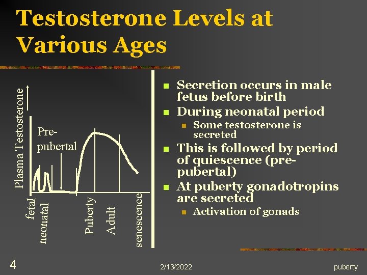 n n 4 Secretion occurs in male fetus before birth During neonatal period n