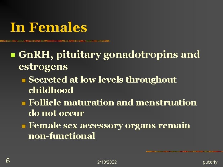 In Females n Gn. RH, pituitary gonadotropins and estrogens n n n 6 Secreted